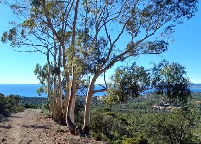 Saint-raphael Bel Piscine Saint-Raphaël